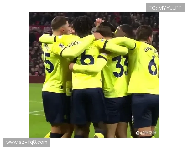 南安普顿冲击英超欧战资格前景分析